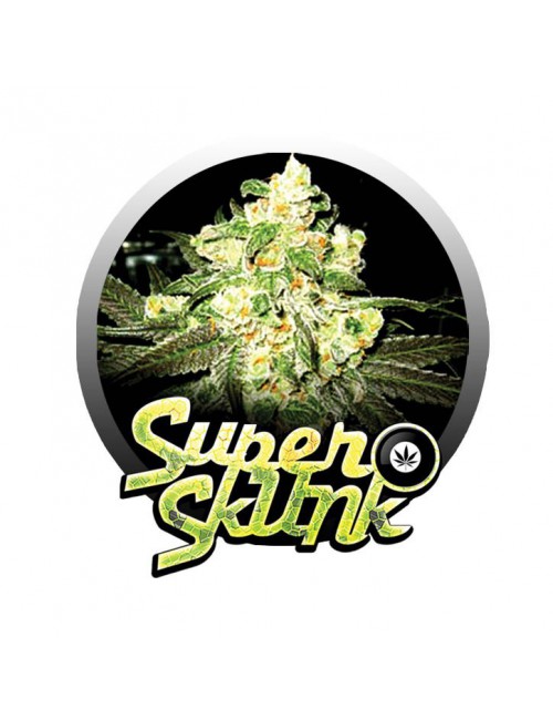 SUPER SKUNK