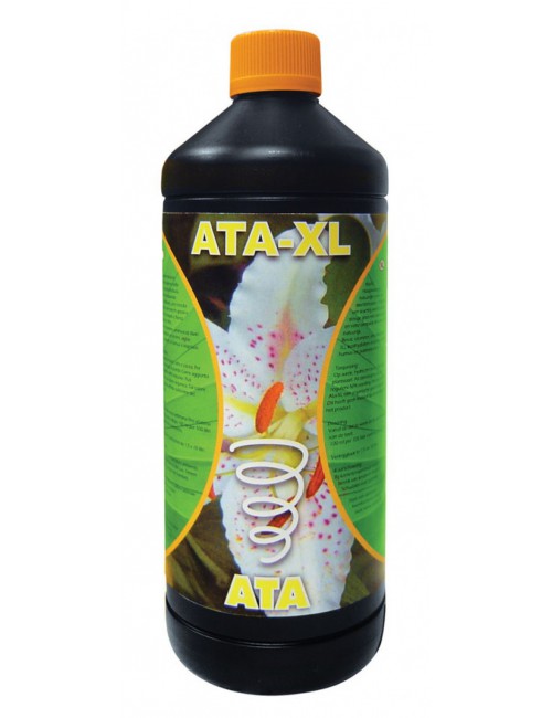 ATA-XL (1L)