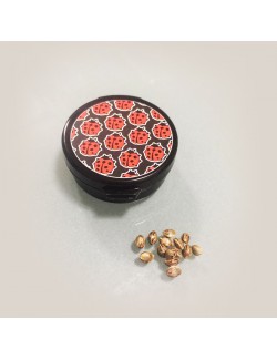 Comprar Semillas marihuana cannabis granel RB Critical + (50u) para cultivos de marihuana cannabis. Tienda Growshop Online República Botánica