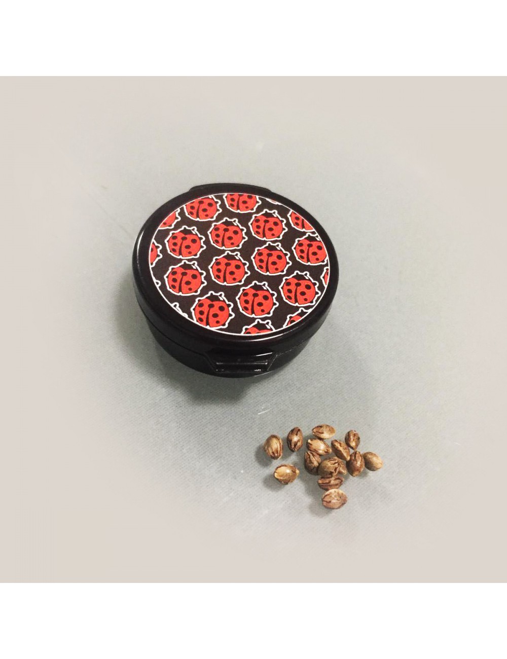 Comprar Semillas marihuana cannabis granel RB Critical + (50u) para cultivos de marihuana cannabis. Tienda Growshop Online República Botánica