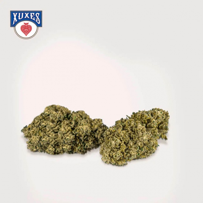 Republica Botanica CBD flores CBD Apple Jack Xuxes