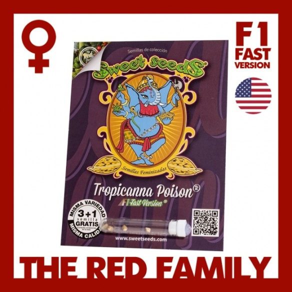 Semillas Tropicanna Poison F1 Fast Version de Sweet Seeds
