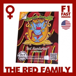 Semillas Red Mandarine F1 Fast Version de Sweet Seeds