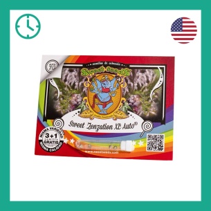 Semillas Sweet Zenzation ® de Sweet Seeds