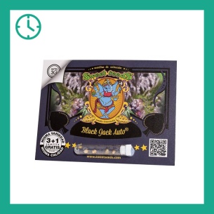 Comprar Semillas marihuana cannabis Black jack auto para cultivos de marihuana cannabis. Tienda Growshop Online República Botánica