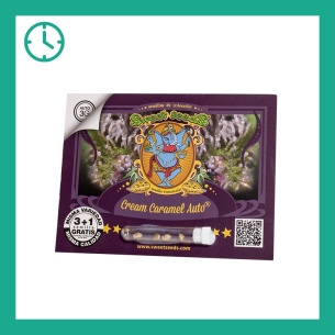 Semillas Cream Caramel Auto de Sweet Seeds