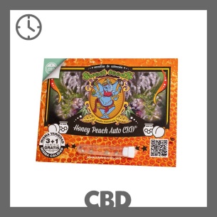 Semillas Honey Peach Auto CBD de Sweet Seeds
