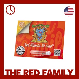 Semillas Red Mimosa XL Auto ® de Sweet Seeds
