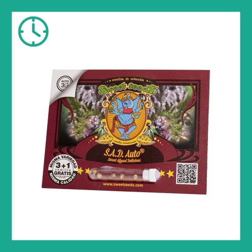 Semillas S.A.D Sweet Afgani Delicious Auto de Sweet Seeds