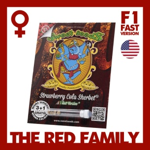 Semillas Strawberry Cola Sherbet F1 Fast Version ® de Sweet Seeds