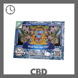 Semillas Sweet Pure Auto CBD de Sweet Seeds