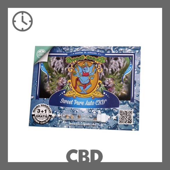 Semillas Sweet Pure Auto CBD de Sweet Seeds