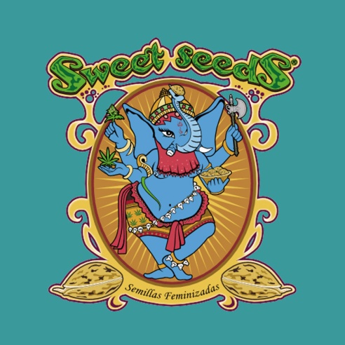Semillas Sweet Pure Auto CBD de Sweet Seeds