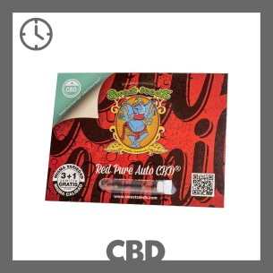 Semillas Red Pure Auto CBD de Sweet Seeds