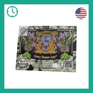 Semillas Bruce Banner Auto de Sweet Seeds