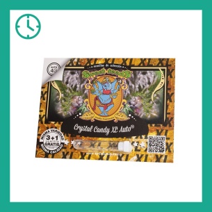 Semillas Crystal Candy XL Auto de Sweet Seeds