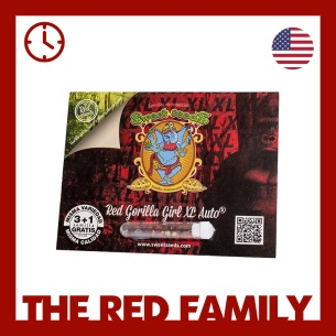 Semillas Red Gorilla Girl XL Auto