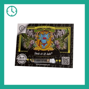 Semillas Jack 47 XL Auto de Sweet Seeds