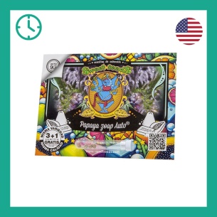 Semillas Papaya Zoap Auto de Sweet Seeds