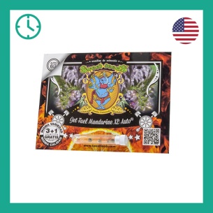 Semillas Jet Fuel Mandarine XL Auto de Sweet Seeds