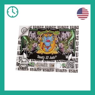 Semillas Runtz XL Auto de Sweet Seeds