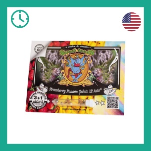 Semillas Strawberry Banana Gelato Auto ® de Sweet Seeds