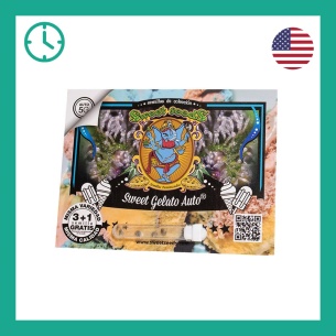 Compra Semillas de Sweet Gelato Auto ® de Sweet Seeds