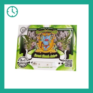 Semillas de Sweet Skunk Auto de Sweet Seeds