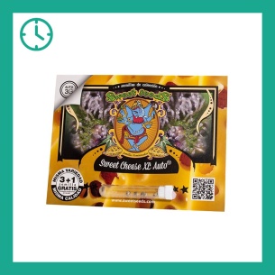 Semillas Sweet Cheese XL Auto de Sweet Seeds