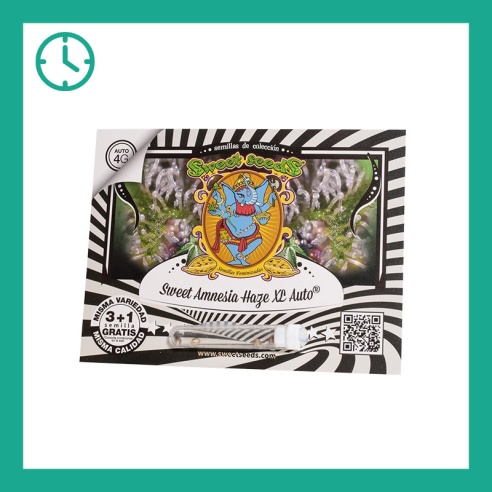 Semillas Sweet Amnesia Haze XL Auto de Sweet Seeds