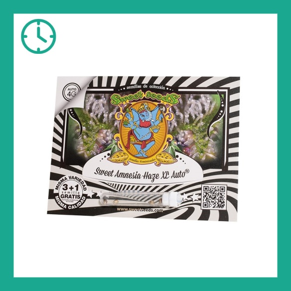 Semillas Sweet Amnesia Haze XL Auto de Sweet Seeds