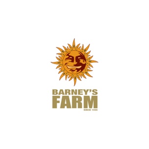 Comprar Semillas marihuana cannabis Bruce Banner de Barneys Farm para cultivos de marihuana cannabis. Tienda Growshop Online República Botánica 2