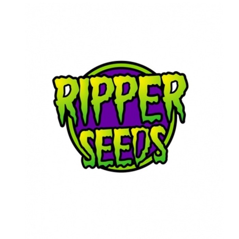Comprar Semillas marihuana cannabis Sour Ripper de Ripper Seeds para cultivos de marihuana cannabis. Tienda Growshop Online República Botánica