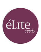 elite seeds