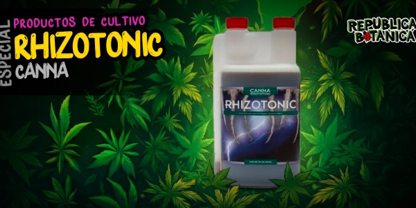 Rhizotonic de Canna