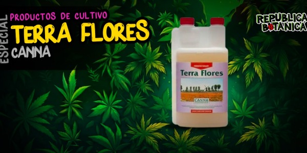 Terra Flores de Canna